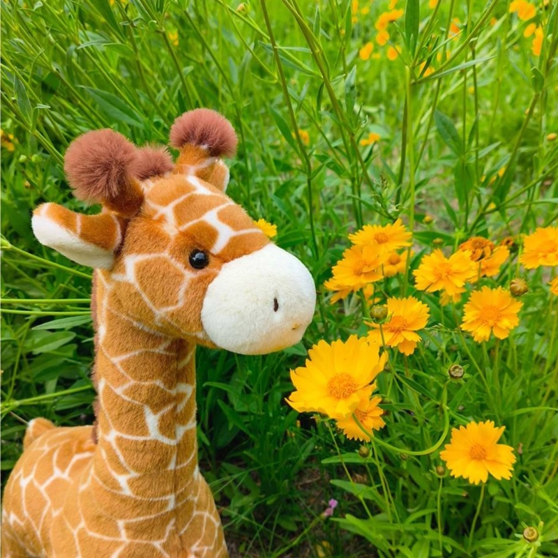 Very Soft Giraffe Plush Toy Fo - Kids Toys Very incelemesi ve fiyatı