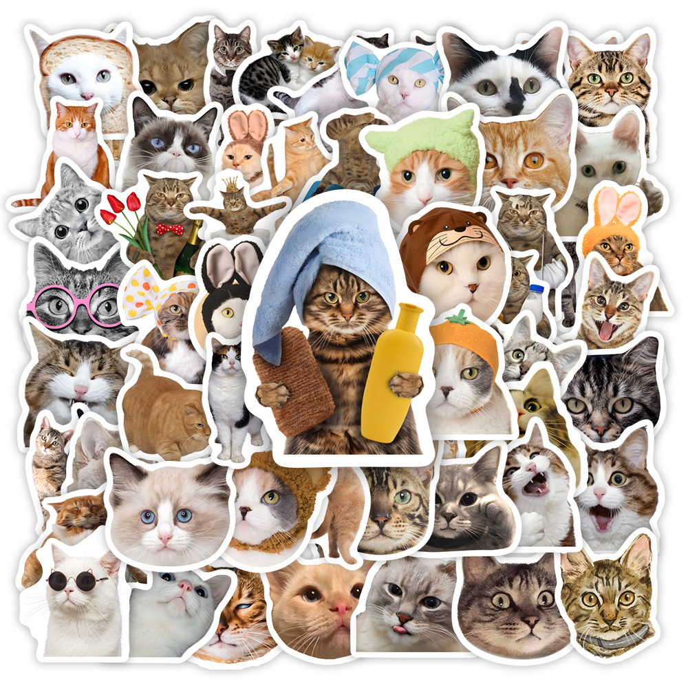 Cute Funny Cat Clipart Sticker - Kids Toys Clipart incelemesi ve fiyatı