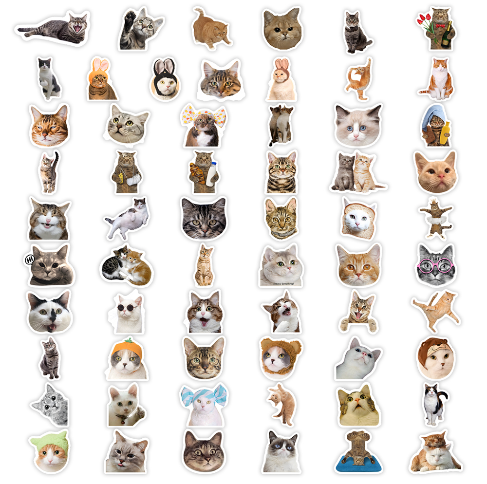 Cute Funny Cat Clipart Sticker - Kids Toys Clipart incelemesi ve fiyatı